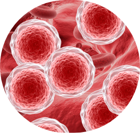 Hematopoietic stem cell (HSC) gene therapy
