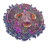 Lipid Nanoparticles (LNPs) - RNA