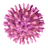 Lentivirus (LV)